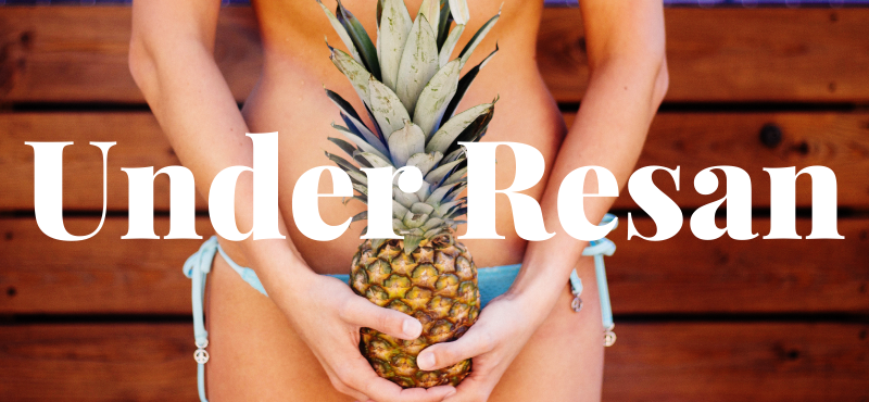 resetips guide resan
